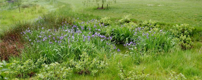 Lancaster Township Floodplain Restoration