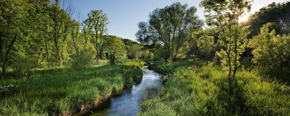 Banta Property Floodplain Restoration