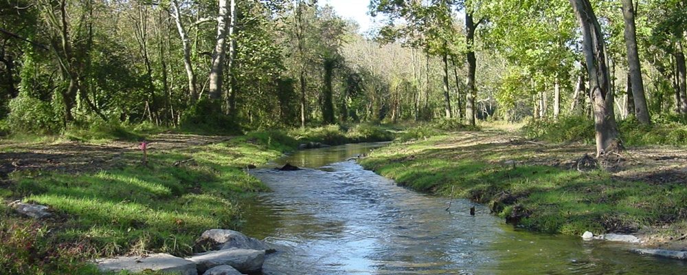 Pollution Diet for the Chesapeake Bay is a Good Thing