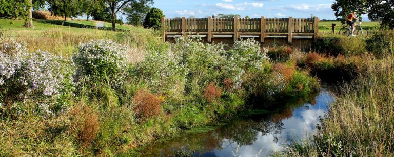 Landis Homes Retirement Community Floodplain Restoration