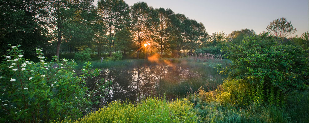 Lititz Run Watershed Action Plan
