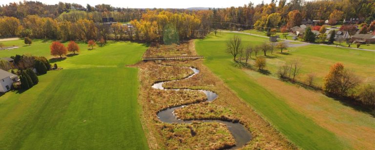 Logan Park Floodplain Restoration