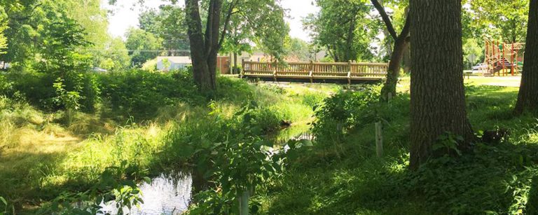 New Street Park Phase II Best Management Practices