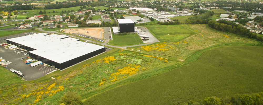 Santo Domingo Creek Floodplain Restoration at Rock Lititz