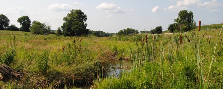 Big Spring Run Stream & Floodplain Restoration