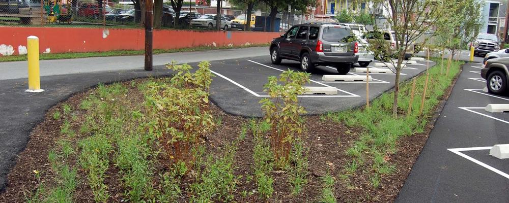 Flooding Protection Via Green Infrastructure