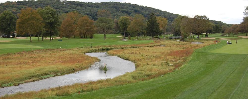 Controlling Invasive Plants in Riparian Areas