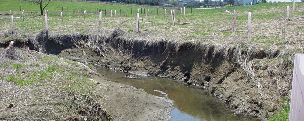 How Legacy Sediment Impacts Streams and Floodplains