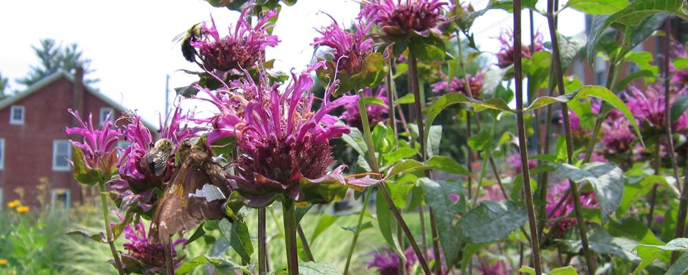 It’s Spring Planting Time: Are You Ready?