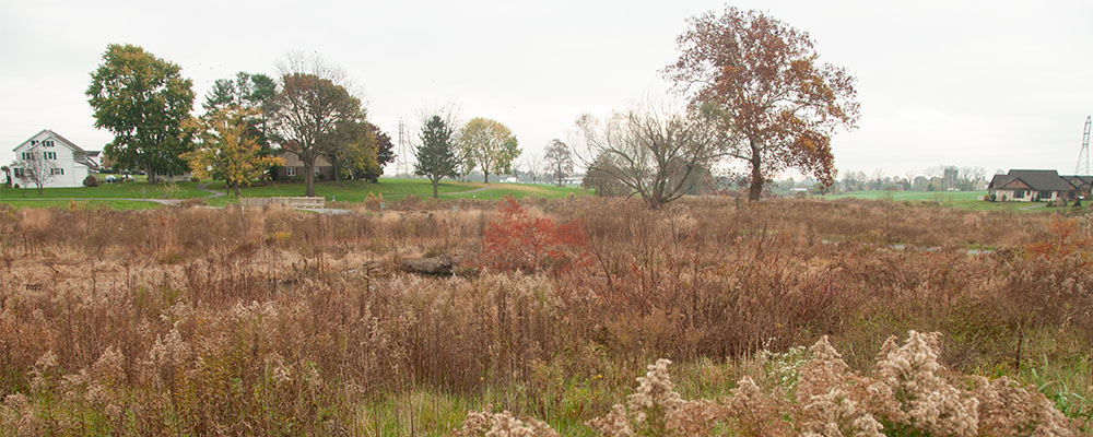 Fall and Winter Maintenance Tips