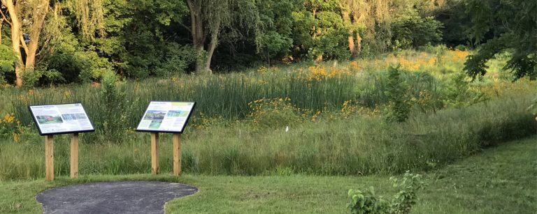 Lititz Run at Oak Street Floodplain Wetland Restoration