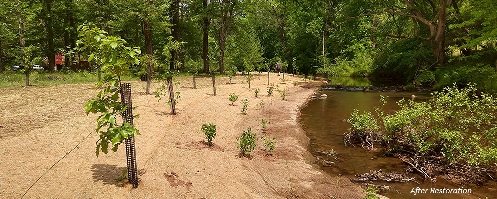 Cocalico Creek Stream Restoration