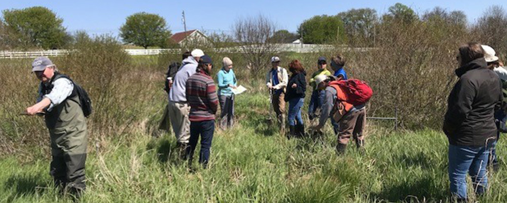 Legacy sediment’s impact on stream ecology