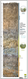 Soil Monolith