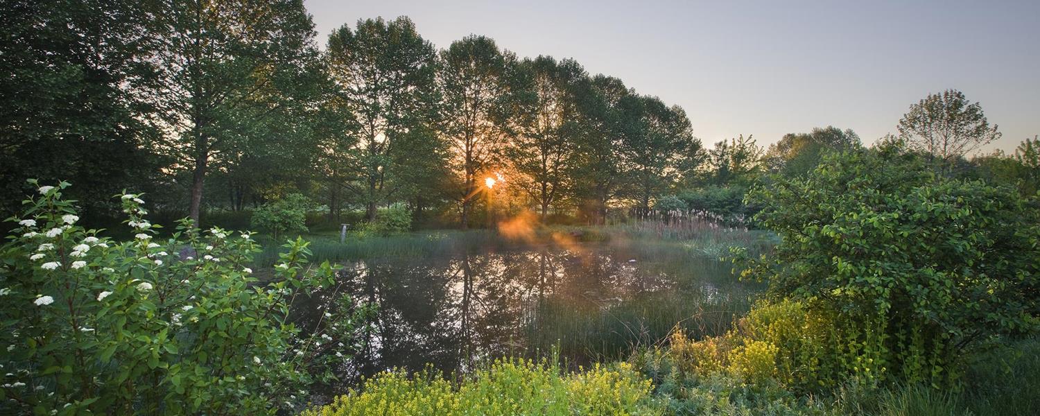 Lititz Run Riparian Park 1500×600