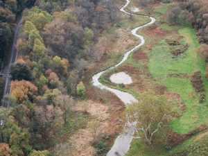 Banta Property Floodplain Restoration - After