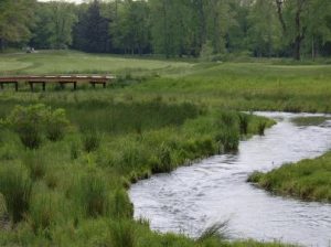 Bedford Springs Resort - Stream & Floodplain Restoration - After