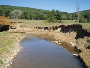 Bedford Springs Resort - Stream & Floodplain Restoration - Before