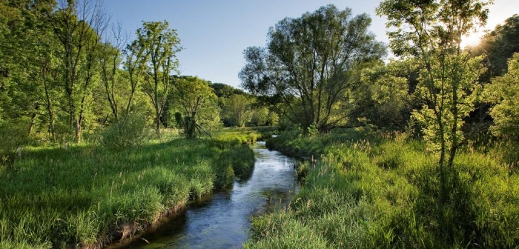 Banta Property Floodplain Restoration Banner 1000x400 Public