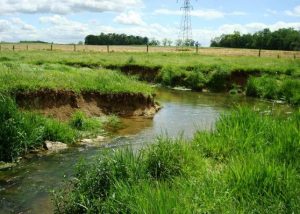 landis-homes-retirement-community-swm-floodplain-restoration-before-restoration