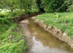 logan-park-floodplain-restoration-looking-downstream-form-bridge-before