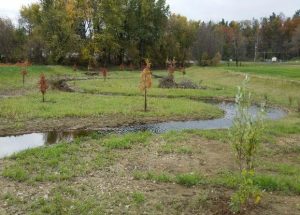 logan-park-floodplain-restoration-looking-downstream-from-bridge-after