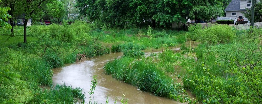 New Street Ecological Park Stream & Floodplain Restoration