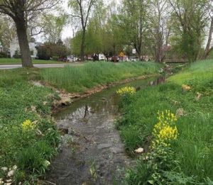 new-street-park-phase-ii-stream-restoration-santo-domingo-creek-streambank-restoration-at-new-street-park