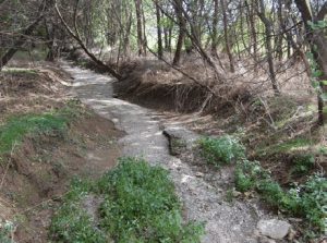 santo-domingo-creek-floodplain-restoration-at-rock-lititz-existing-conditions