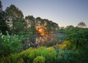 warwick-twp-lititz-borough-ms4-lititz-run-riparian-park-wetland