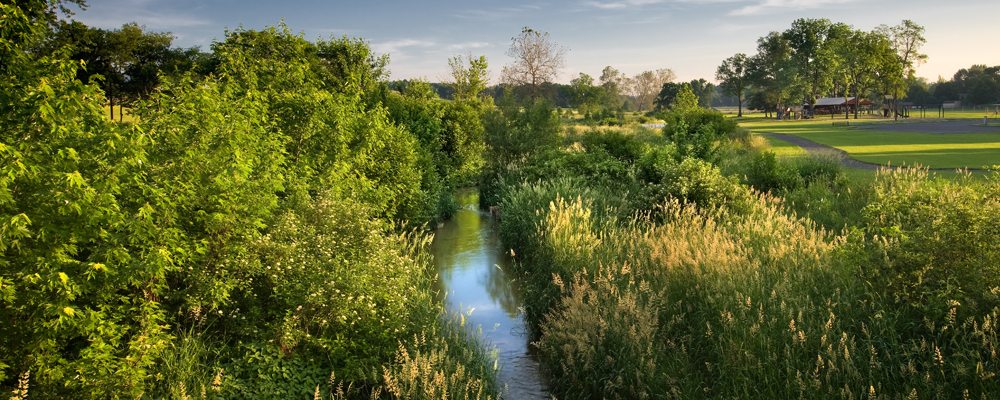 Funding for Riparian Buffer Projects on your Property - LandStudies