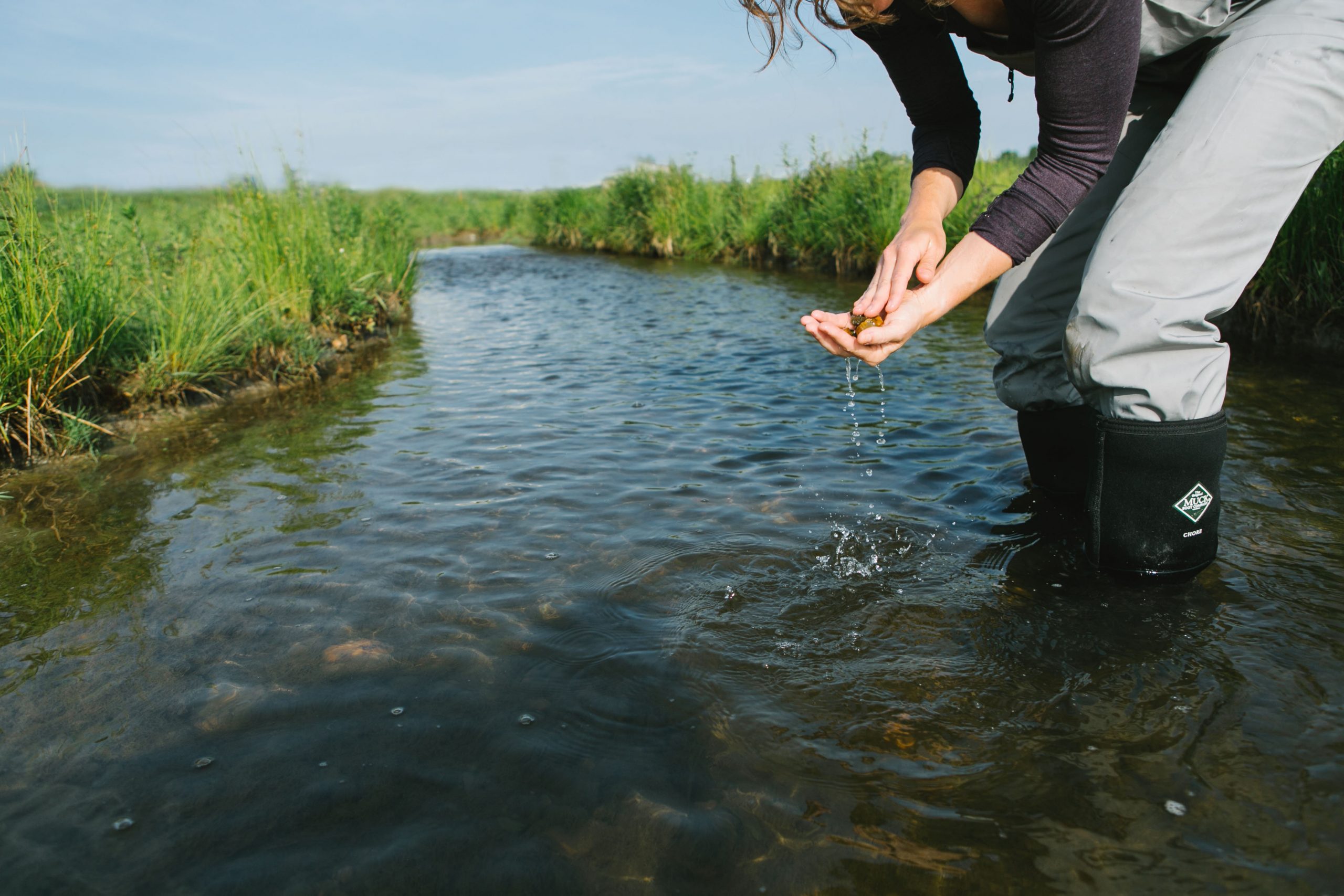 Water Resources Engineering Intern