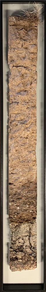 Soil Monolith 159×1000
