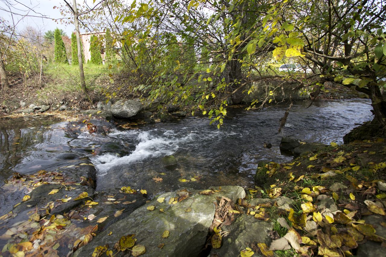 Stream riffle Lititz Run_M. McFarland